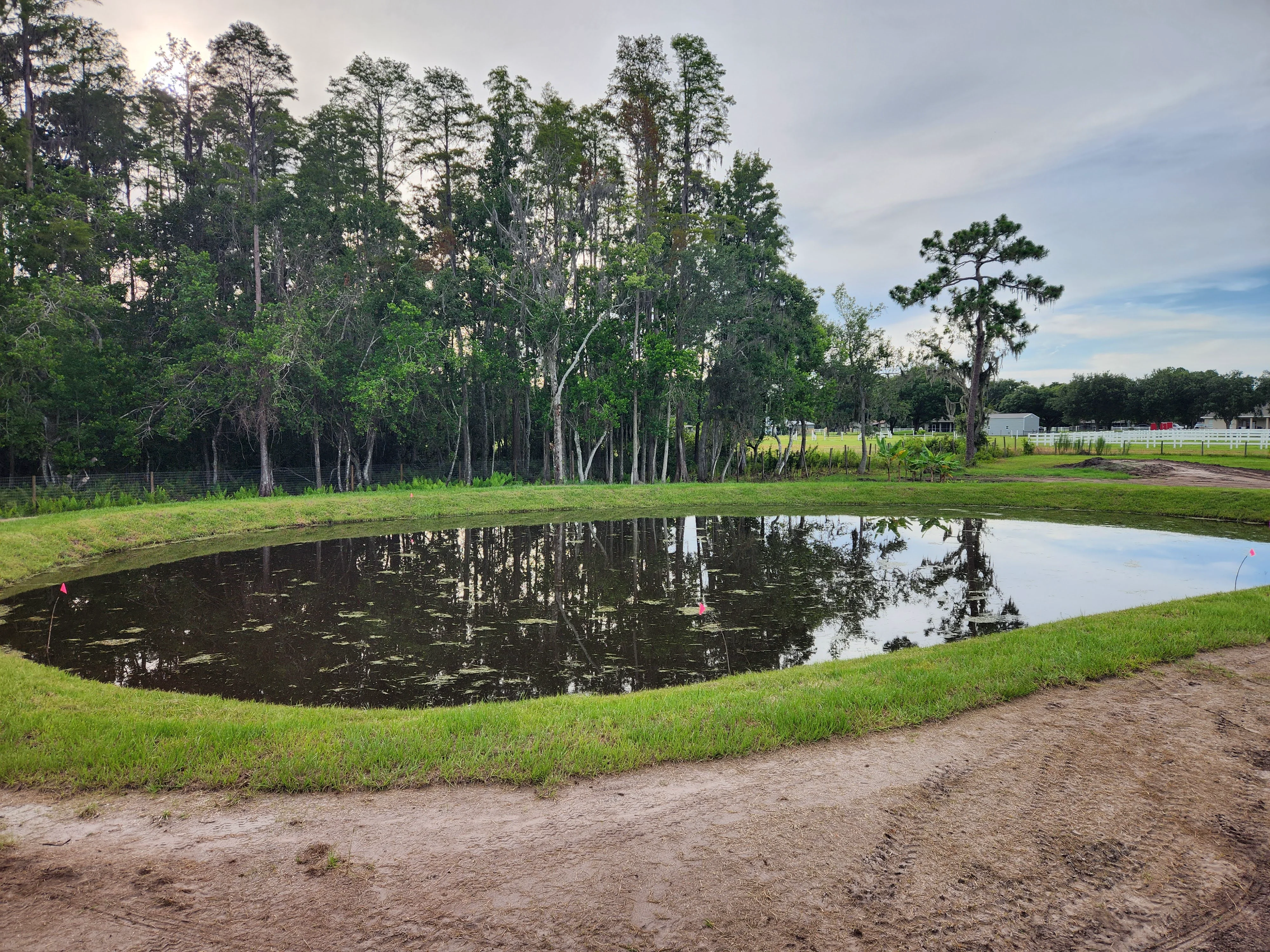 After: This Is a Pond